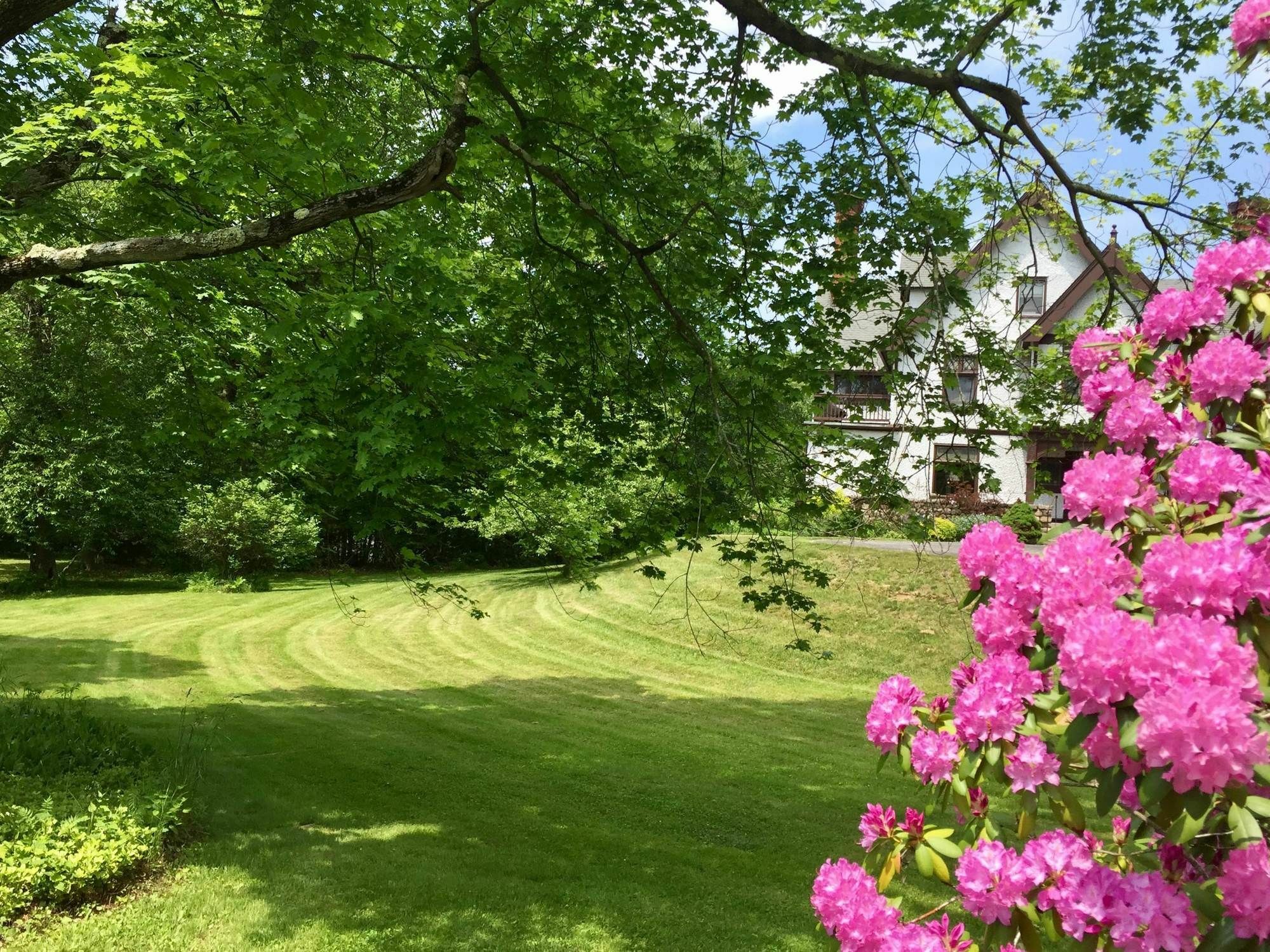 Manor House Bed & Breakfast Norfolk Extérieur photo